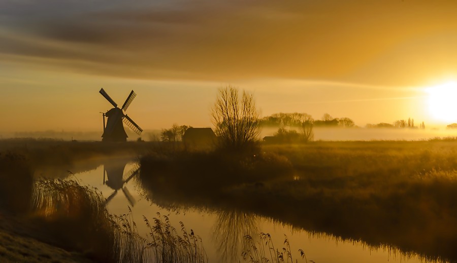 官能的な美しさ、オッラの眼差しを越えて 32
 #39650613