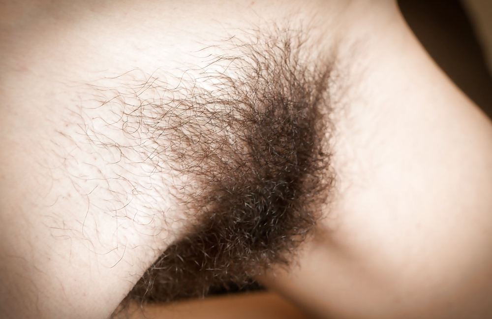 From the Moshe Files: Hairy Cunt For Your Dining Pleasure #37844685