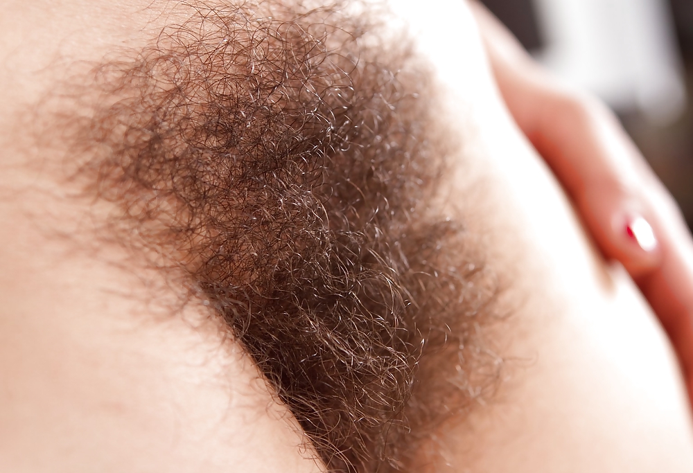 From the Moshe Files: Hairy Cunt For Your Dining Pleasure #37844695