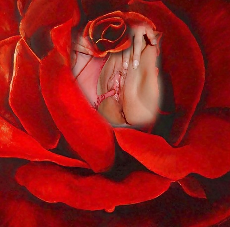 El tiempo de juego de Alysha
 #26262842