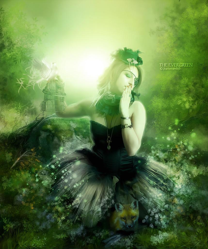 蜜蜂の夢
 #24928946