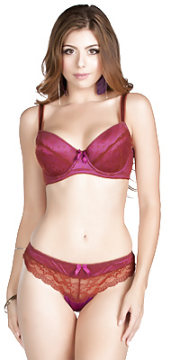 ランジェリーのモデル
 #25862468