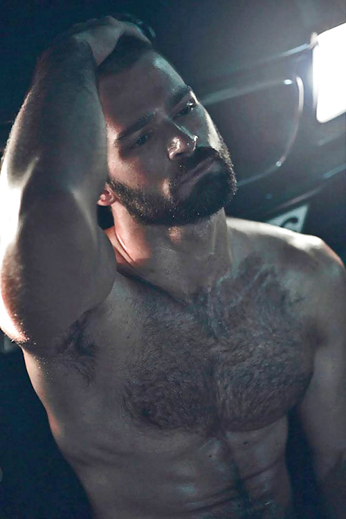 熱い毛深い男性
 #26817230