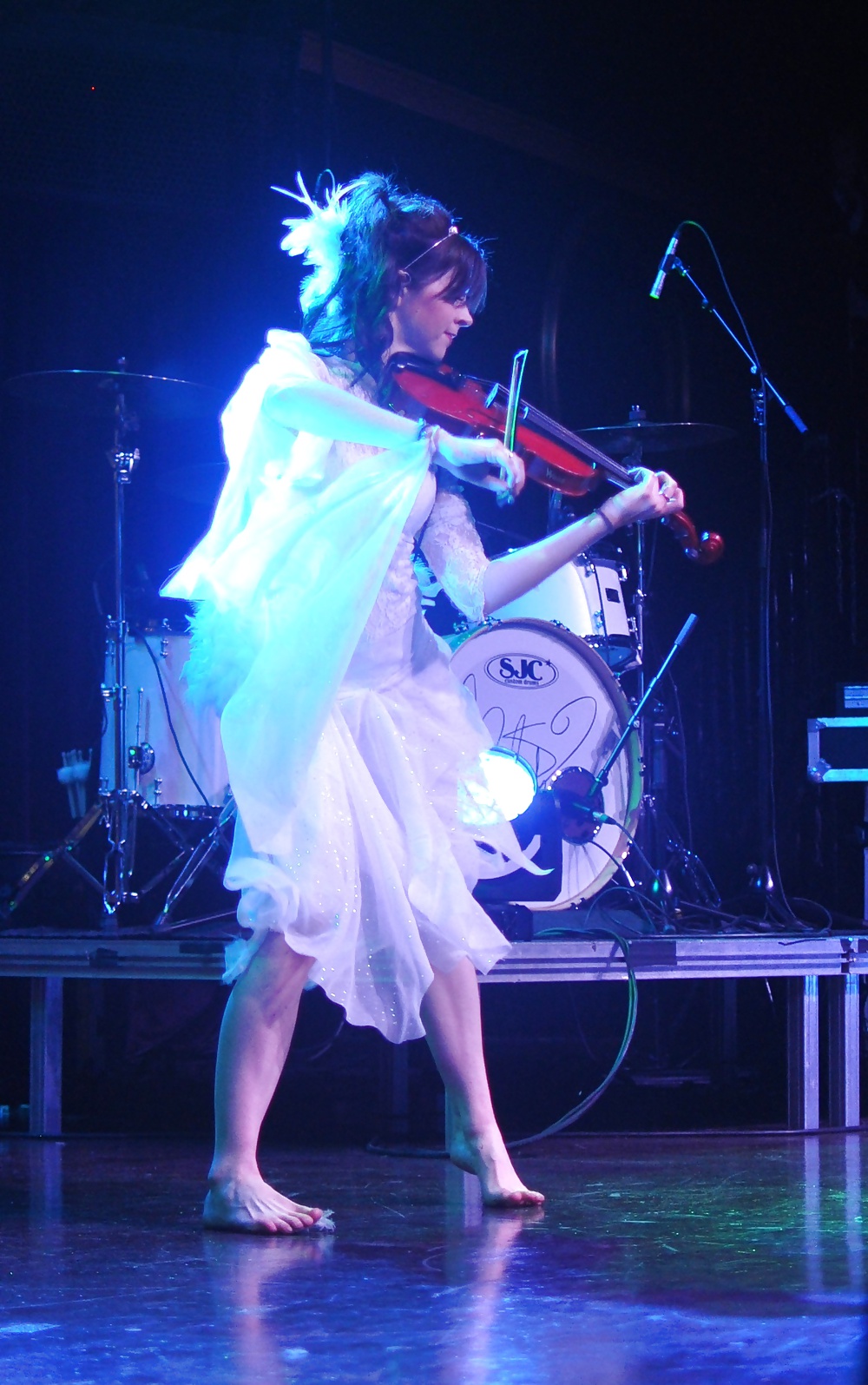 Lindsey stirling pies
 #28896097