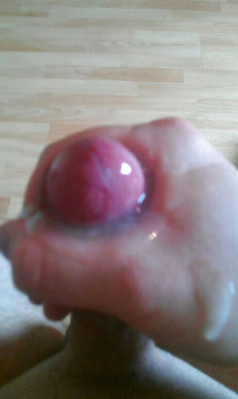 綺麗な画像
 #34021857