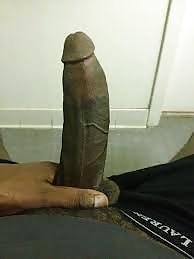 Su boi
 #37631706