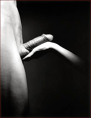 Black and white #26628849