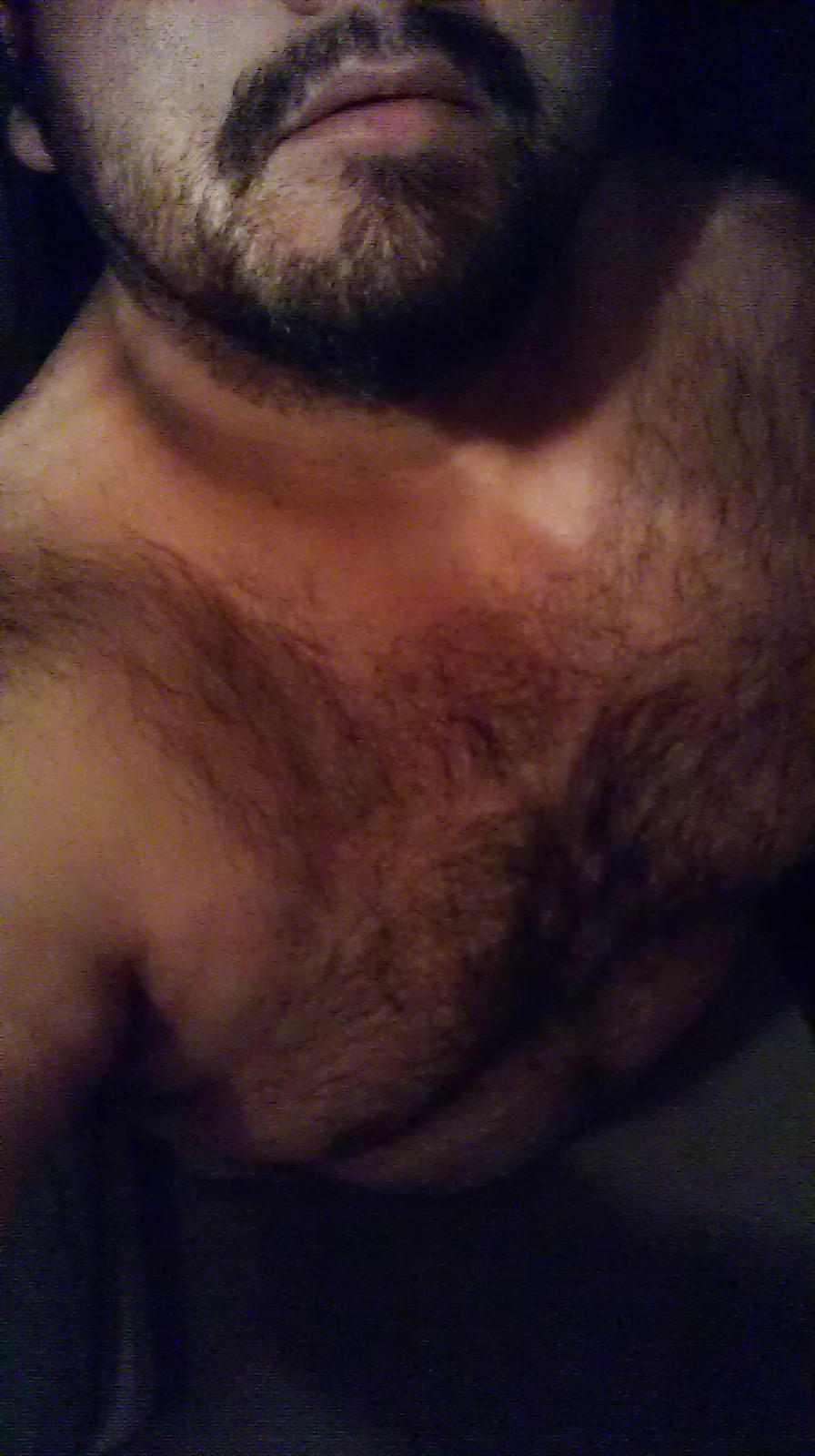 私のコック
 #36593288