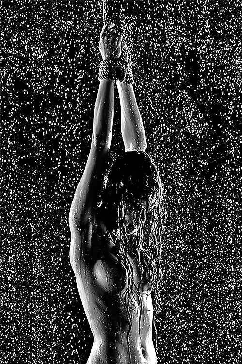 Janas art de la joie 7
 #29123661