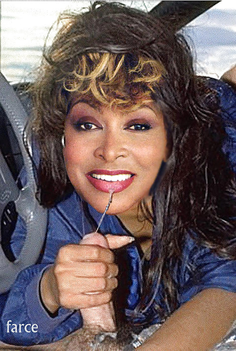 Tina Turner (akt & Interracial Fakes) #36919284