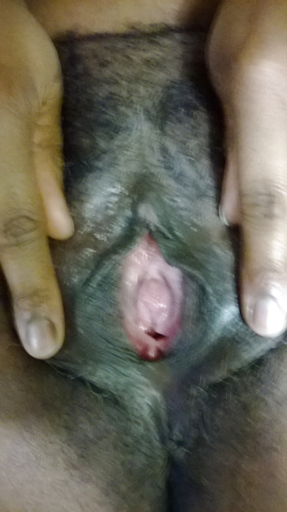 Fotos de coños
 #34590217