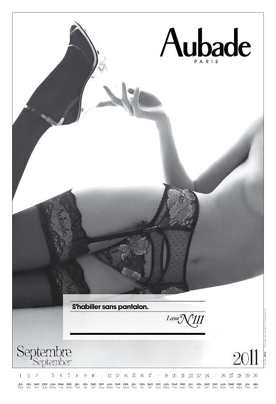 Calendrier érotique 14 - Lingerie-calendrier 2011 #33521277