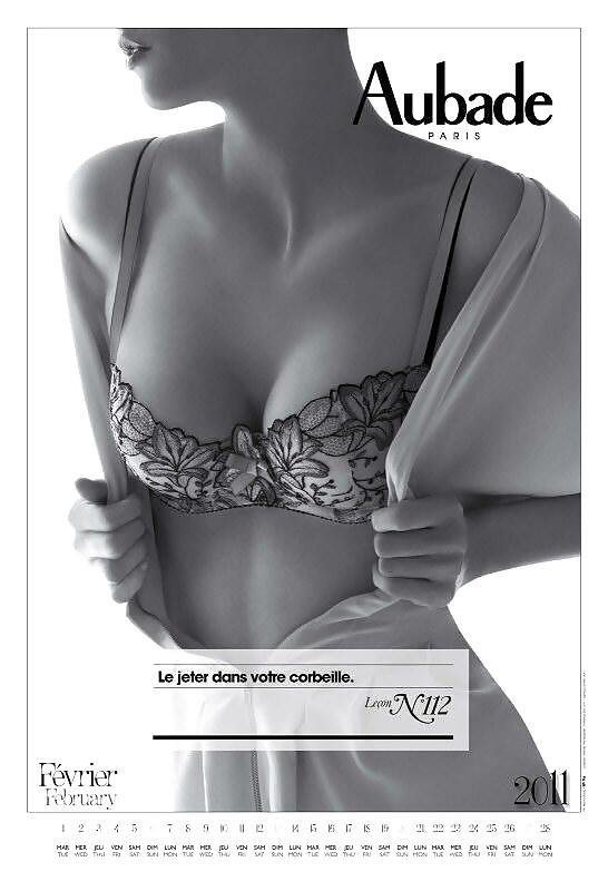 Erotic Calendar 14 - Lingerie-Calendar 2011 #33521282