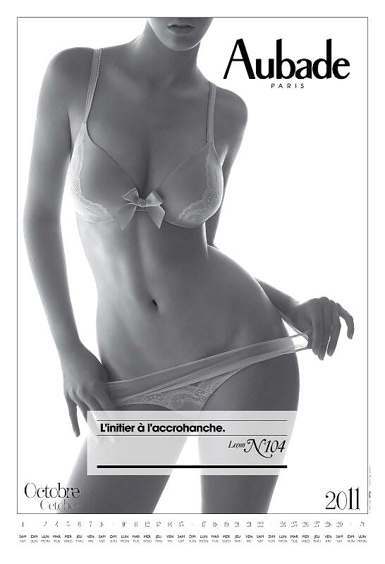 Calendario erotico 14 - lingerie-calendario 2011
 #33521289