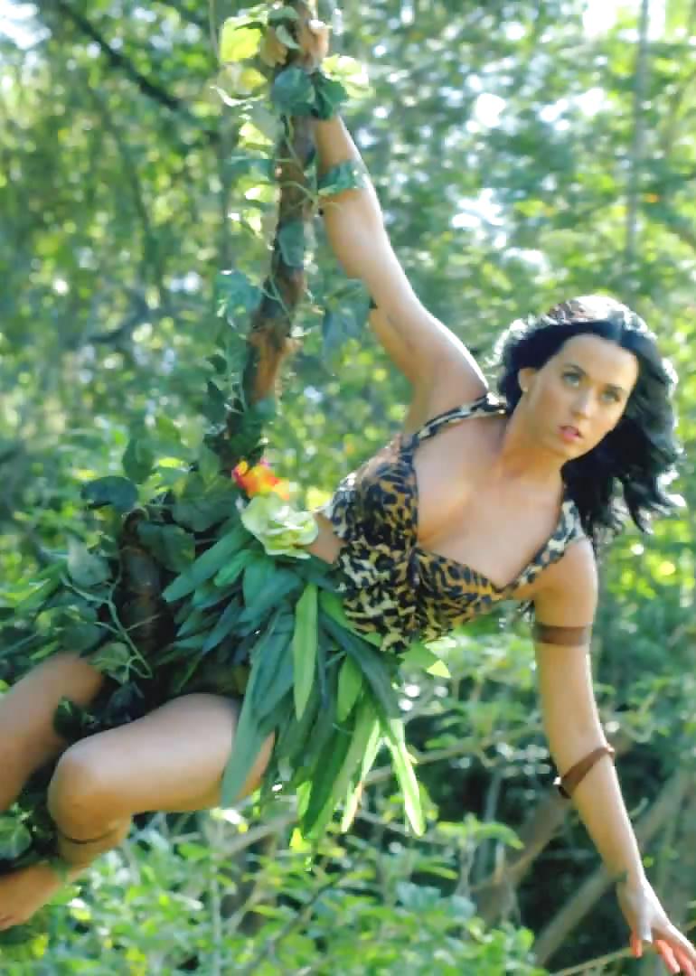 Katy Perry Leoparden-Bikini #24161625
