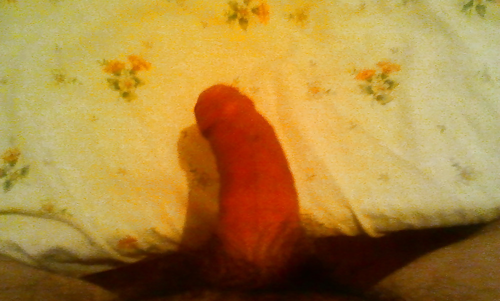 Minhas fotos
 #38024600