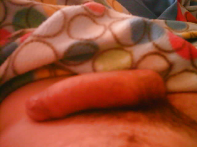 Minhas fotos
 #38024627