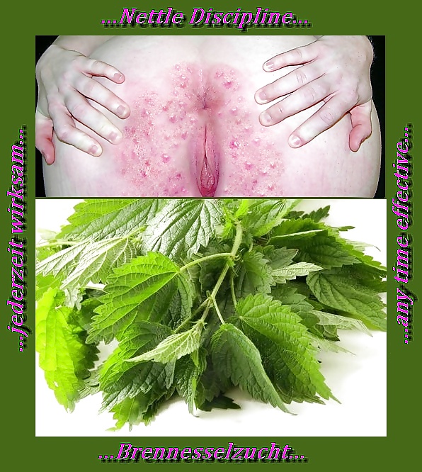 Nettle Discipline! #25155606