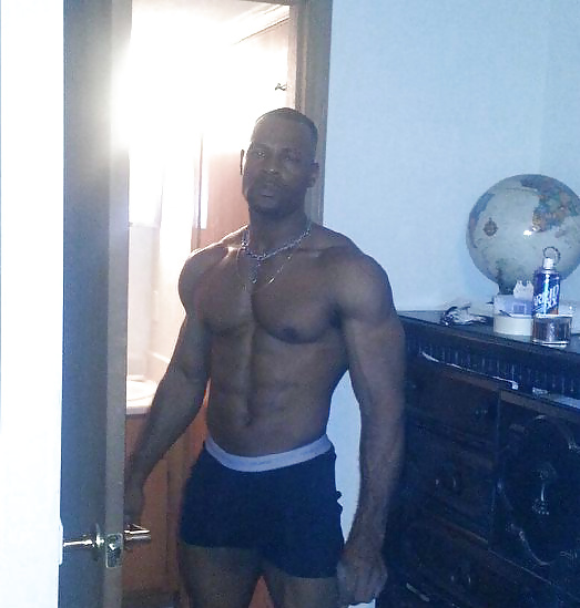 Stud #31144753