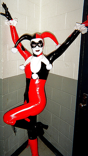My Harley Quinn and Catwoman Fetish #40555288