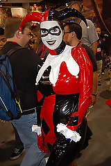 Mon Harley Quinn Et Catwoman Fetish #40555290