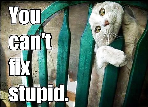 Funny Bits :D #30590598