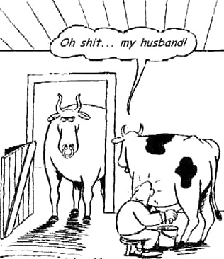 Funny Bits :D #30590617