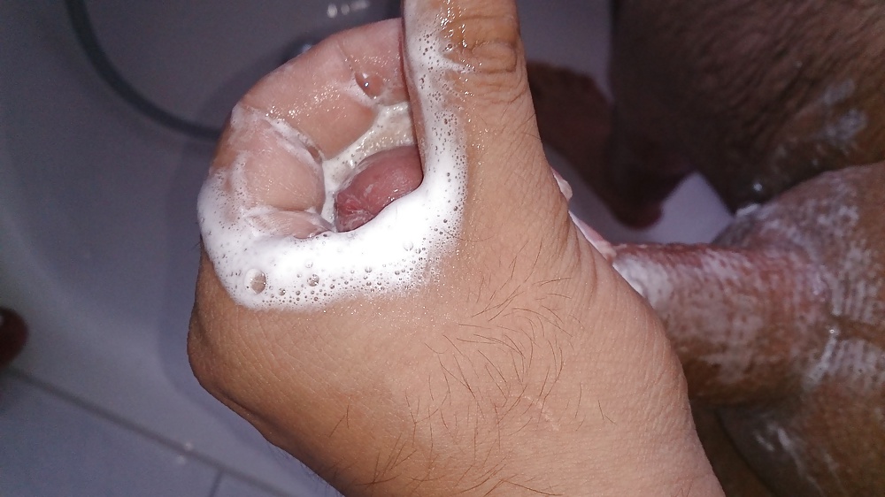 新しい写真 
 #27554312