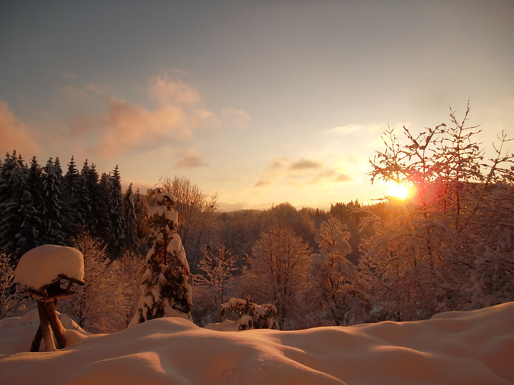 Moi - ich 
 #40040744