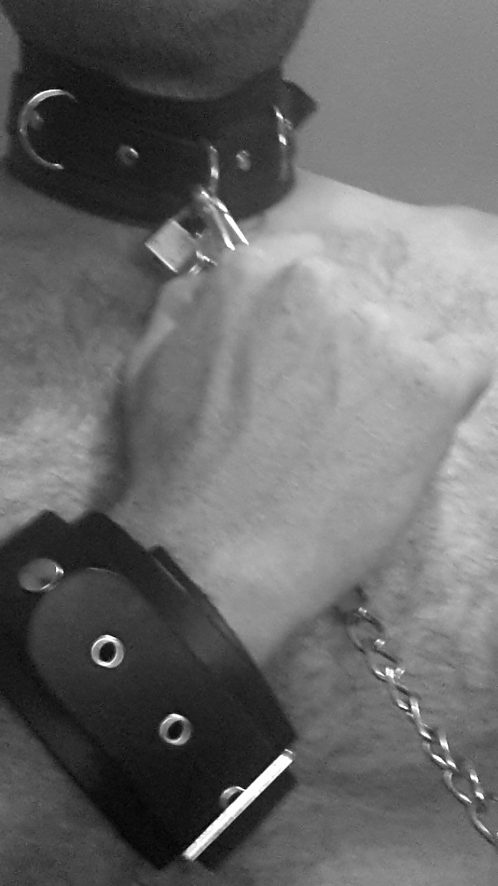 My Devot Site #37406687