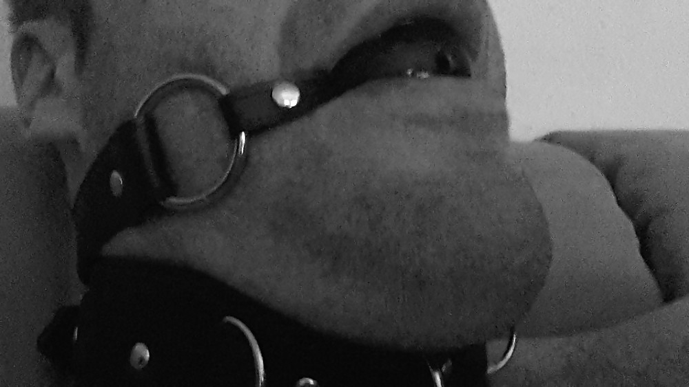 My Devot Site #37406694
