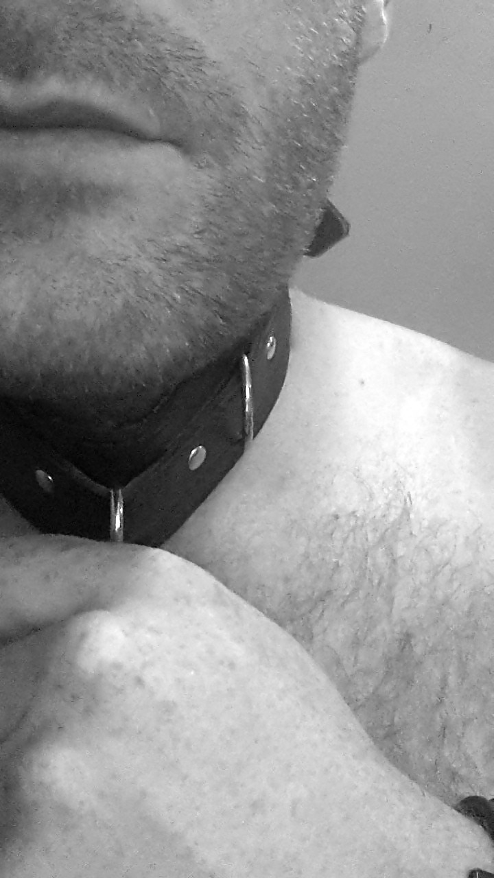 My Devot Site #37406697
