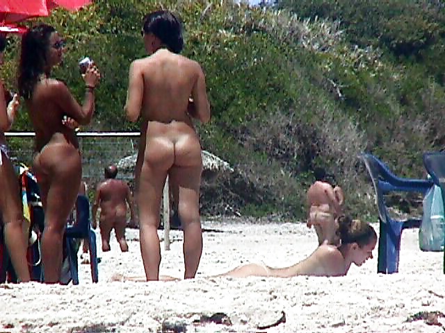 Brasileiras nudistas
 #26728270