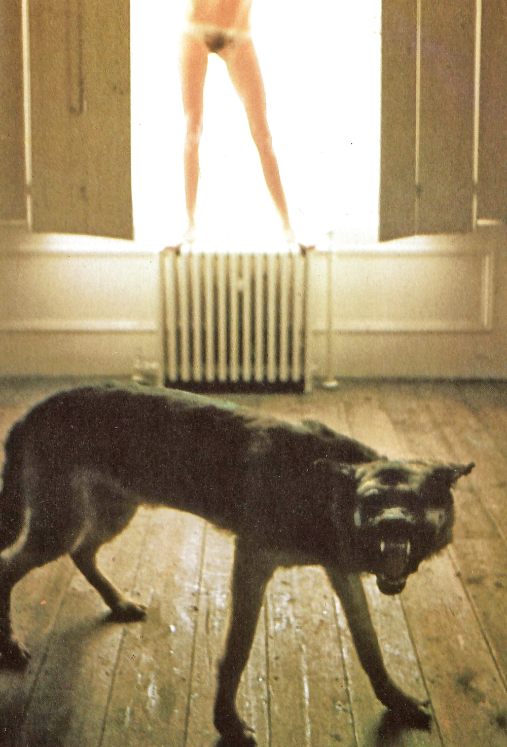 Juegos de rol 16
 #34494976