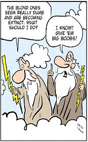 Humoristische Erwachsenen Cartoons September 2012 #23282189