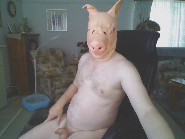 Andrew the pig #39755942