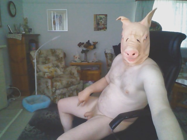 Andrew the pig #39755948