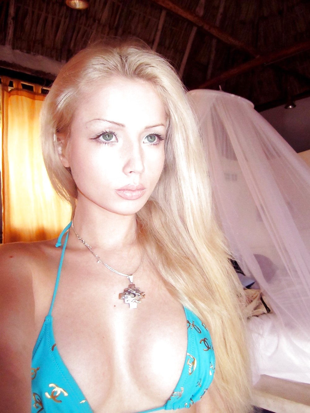 プラスティック・ビューティー
 #24853653