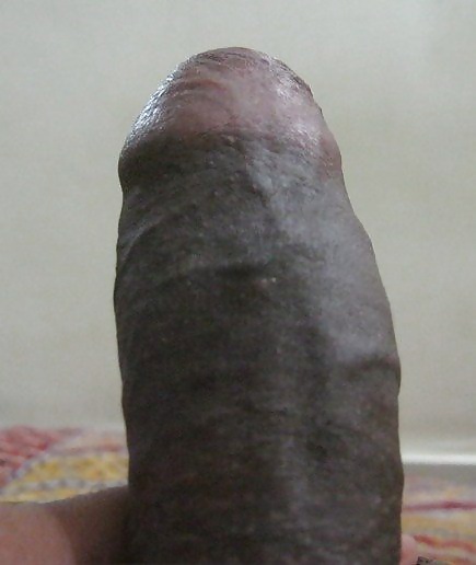 My Cock which she likes to suck