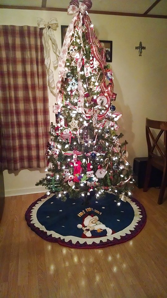 Some of my Christmas decorations and my tree #38927363