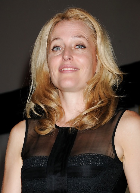 Gillian Anderson 6 #40486141