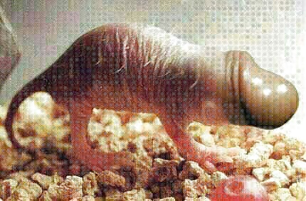 面白い写真
 #38725311