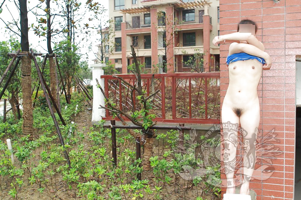 Chinese public part 5 #38919091