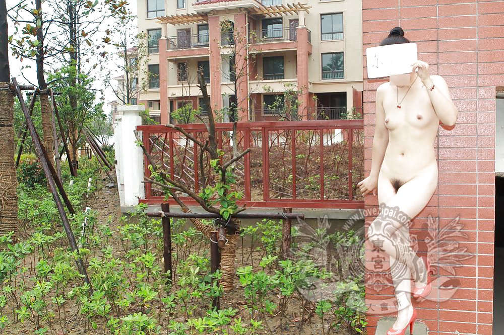 Chinese public part 5 #38919230