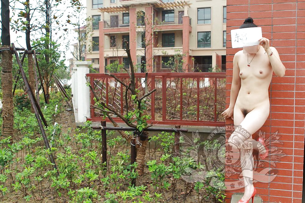 Chinese public part 5 #38919243