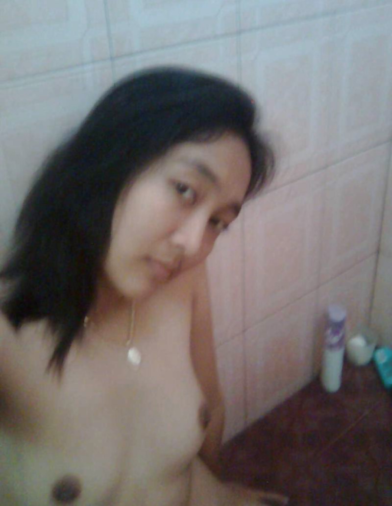 AYU BUDAK MELAYU #32184934