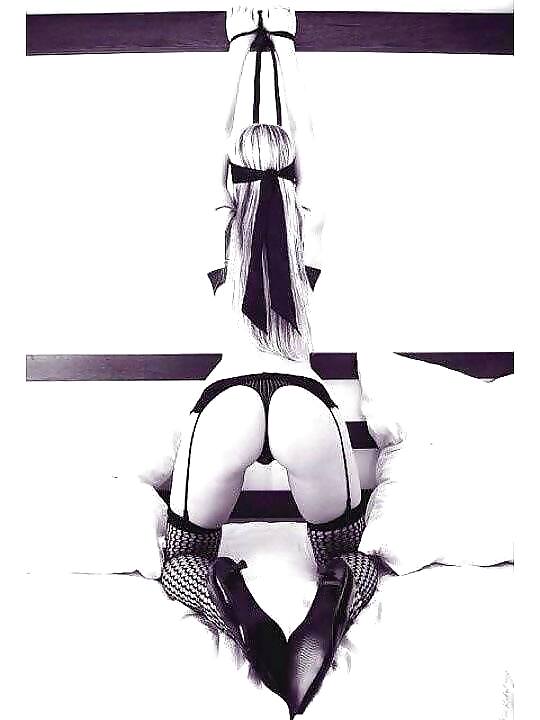 Cautivo 7
 #23338058