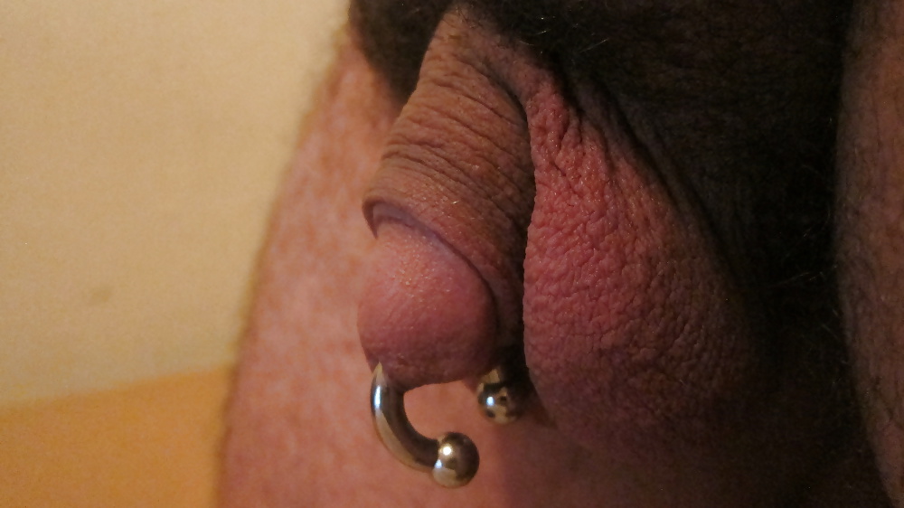 Gauge 2 piercing principe Alberto
 #39168219