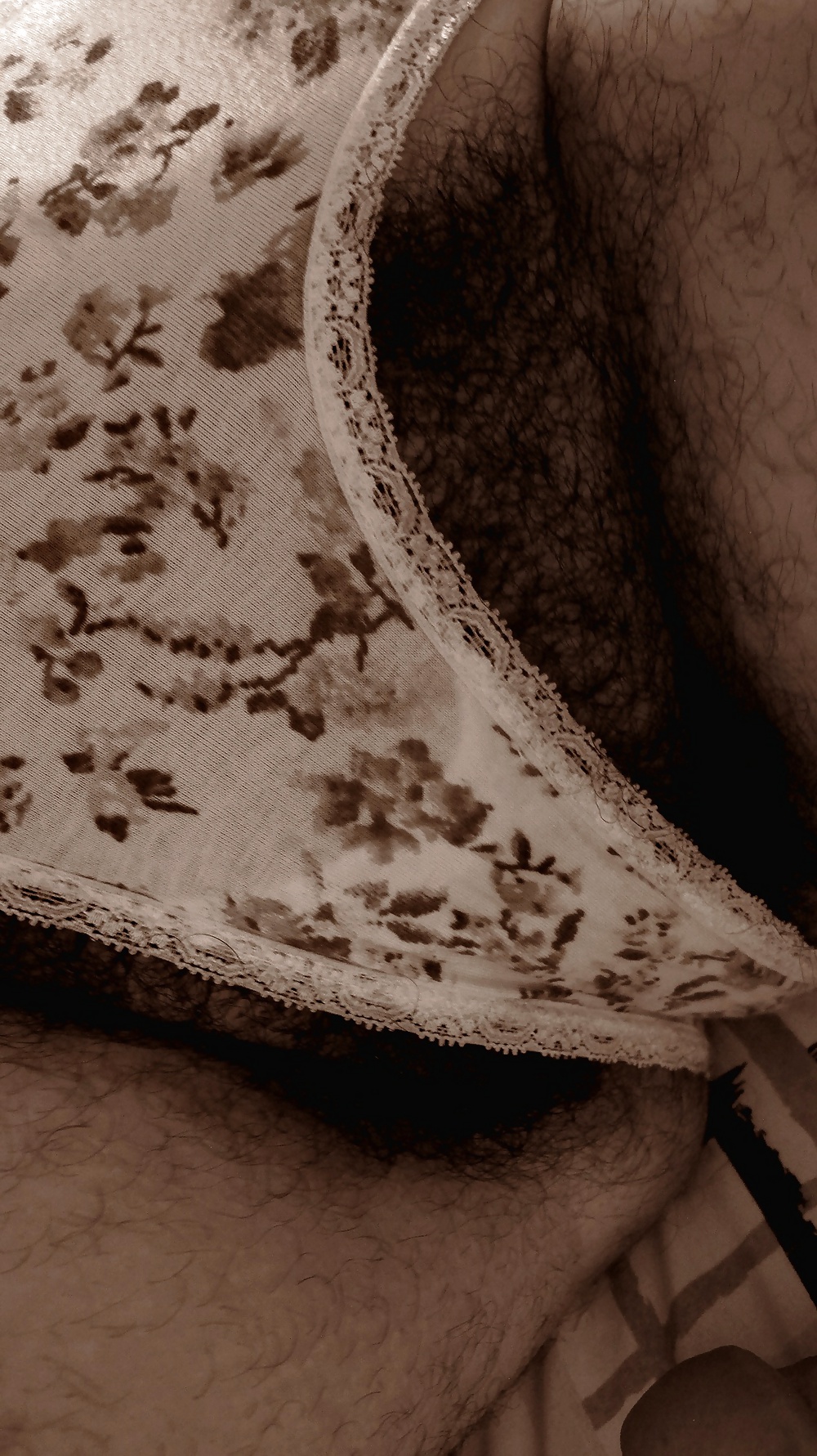 Fully Furry & Natural - Art & Texture, Class & Close #31931158