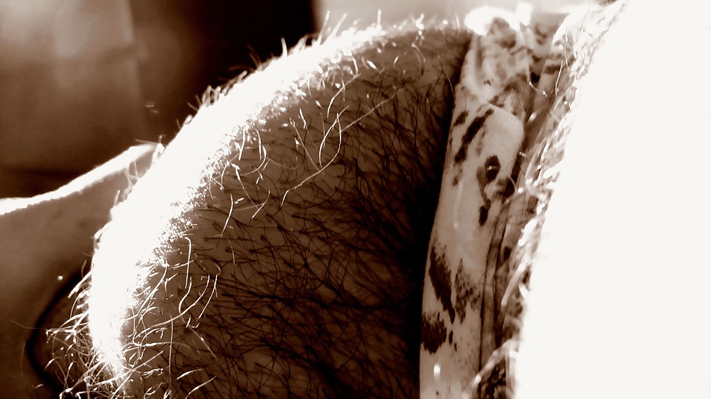 Fully Furry & Natural - Art & Texture, Class & Close #31931167